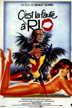 Affiche du film = C'est la faute à Rio