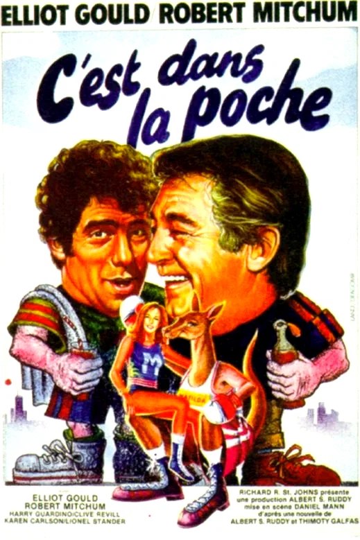 Affiche du film : C'est dans la poche