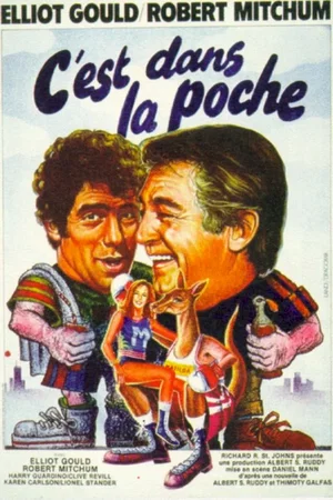 Affiche du film : C'est dans la poche