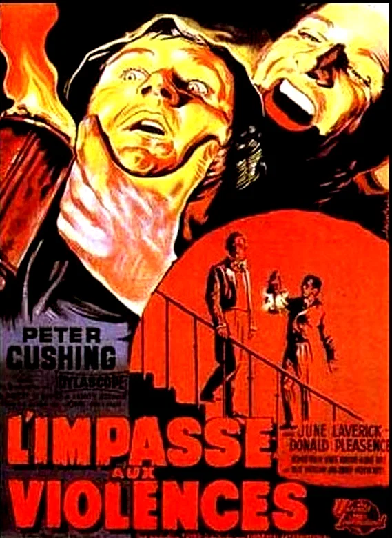 Affiche du film : L'impasse aux violences