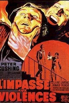 Affiche du film L'impasse aux violences