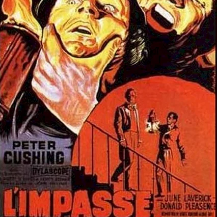 Miniature photo du film : L'impasse aux violences
