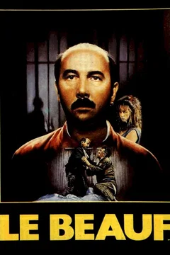 Affiche du film Le beauf