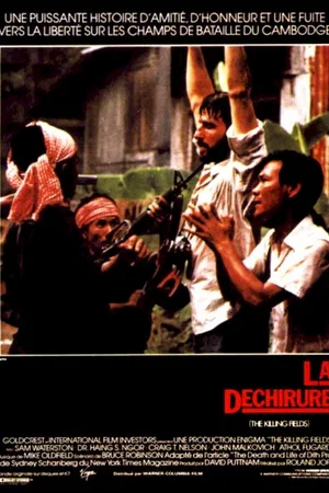 Affiche du film : La Déchirure