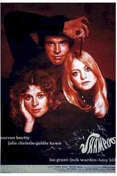 Affiche du film Shampoo