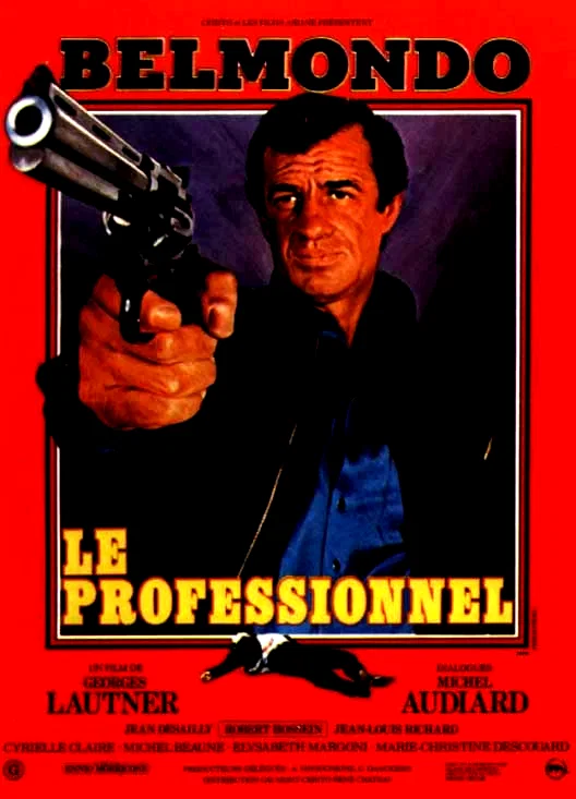 Affiche du film : Le professionnel