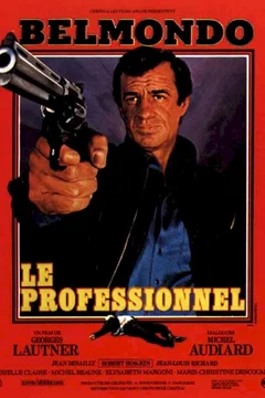 Affiche du film Le professionnel