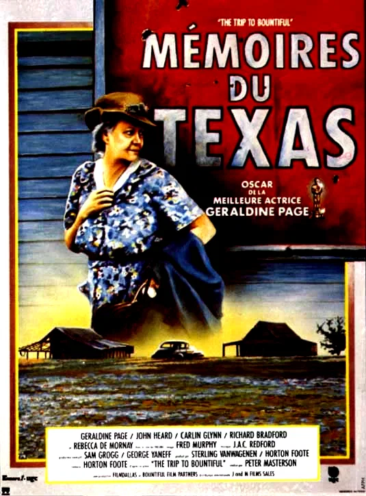 Affiche du film : Memoires du texas
