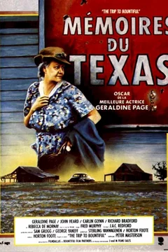 Affiche du film Memoires du texas
