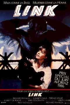 Affiche du film Link