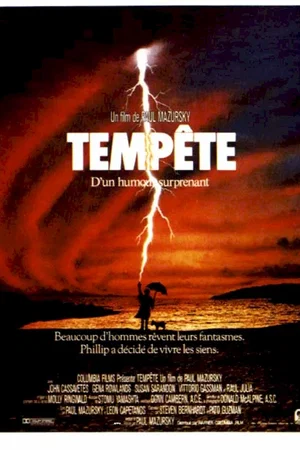 Affiche du film : Tempête