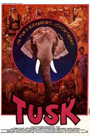 Photo 1 du film : Tusk