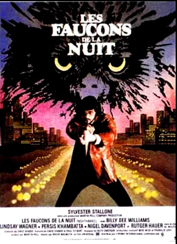 Affiche du film : Les faucons de la nuit