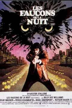 Affiche du film Les faucons de la nuit
