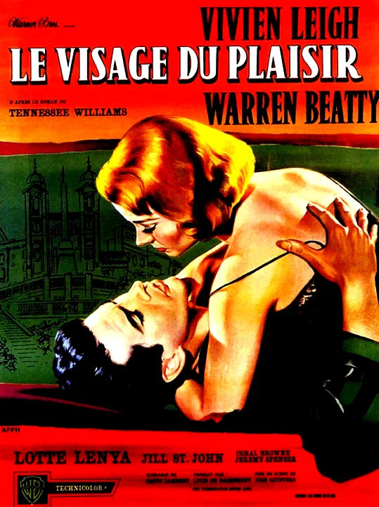 Affiche du film : Le visage du plaisir