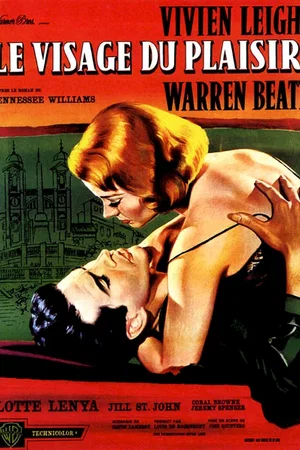 Affiche du film : Le visage du plaisir