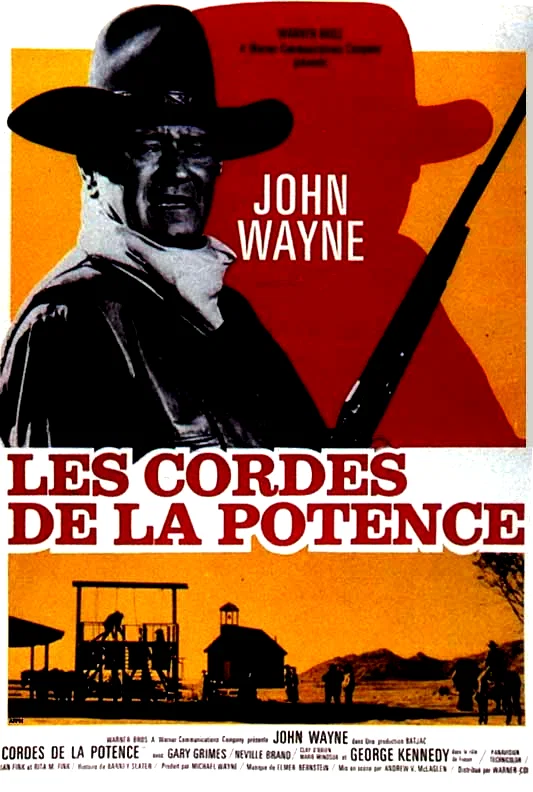 Affiche du film : Les cordes de la potence