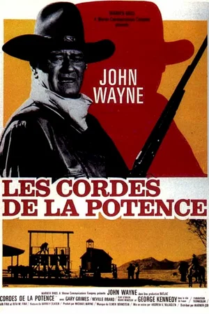 Affiche du film : Les cordes de la potence