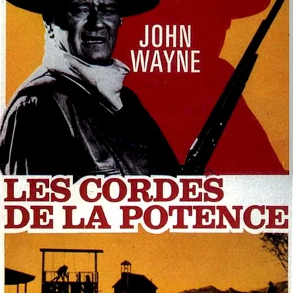 Miniature photo du film : Les cordes de la potence