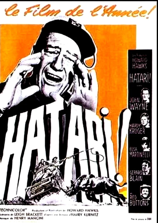 Affiche du film : Hatari