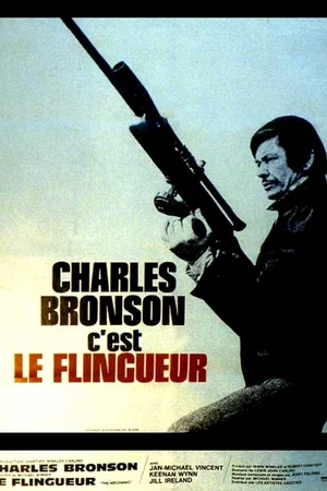 Affiche du film : Le flingueur