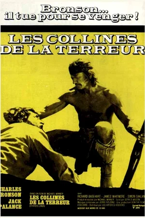 Affiche du film : Les collines de la terreur