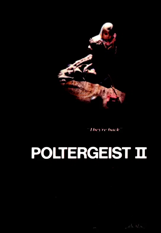 Affiche du film : Poltergeist ii