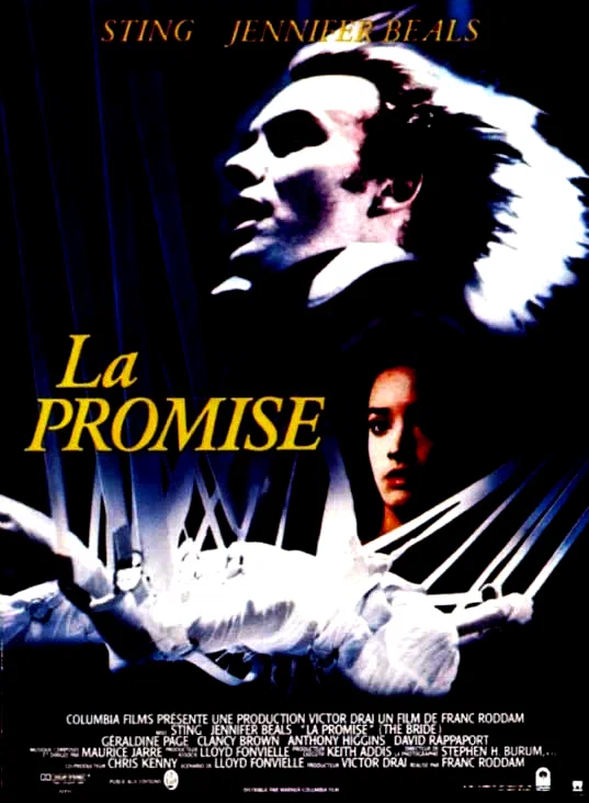 Affiche du film : La promise