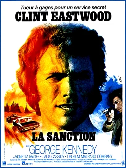 Affiche du film : La sanction