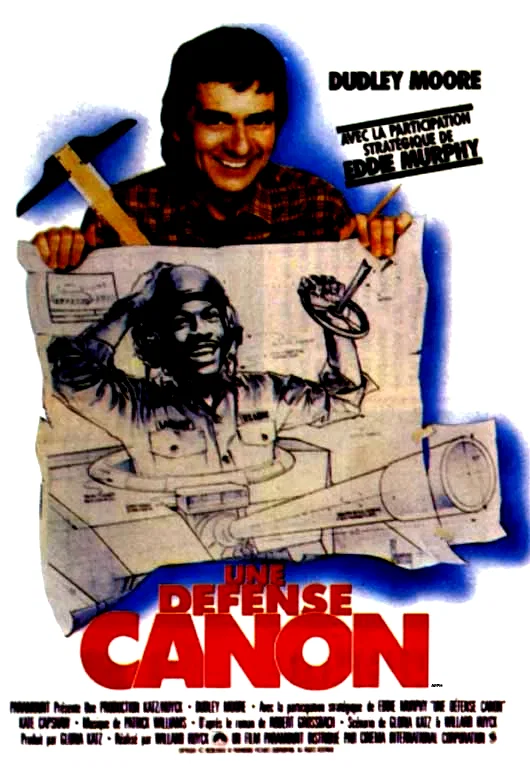 Affiche du film : Une defense canon