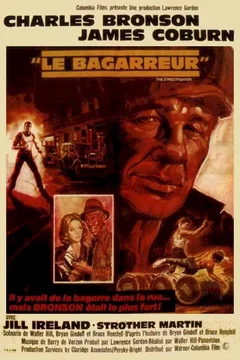 Affiche du film Le bagarreur