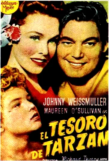 Affiche du film : Le tresor de tarzan