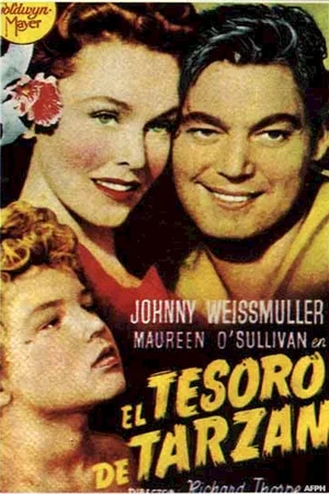 Affiche du film : Le tresor de tarzan