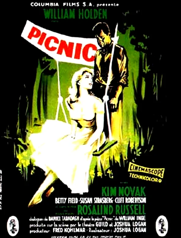 Affiche du film : Picnic