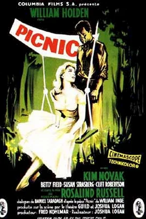 Affiche du film : Picnic