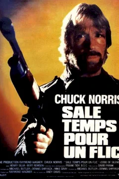 Affiche du film Sale temps pour un flic
