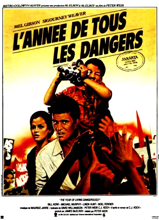 Affiche du film : L'année de tous les dangers