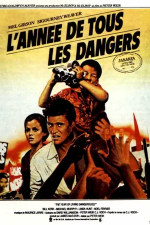Affiche du film : L'année de tous les dangers