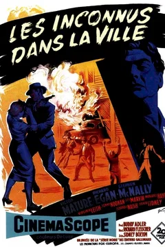 Affiche du film = Les inconnus dans la ville