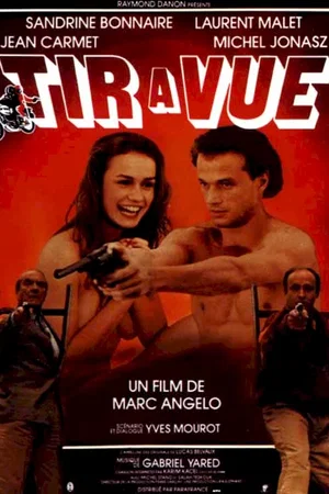 Affiche du film : Tir a vue