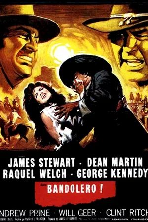 Affiche du film : Bandolero