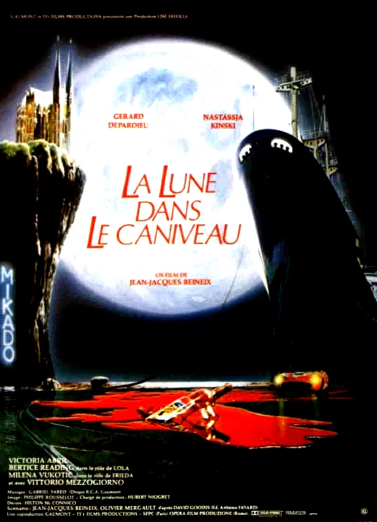 Affiche du film : La lune dans le caniveau