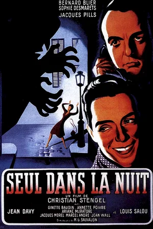 Affiche du film : Seul dans la nuit