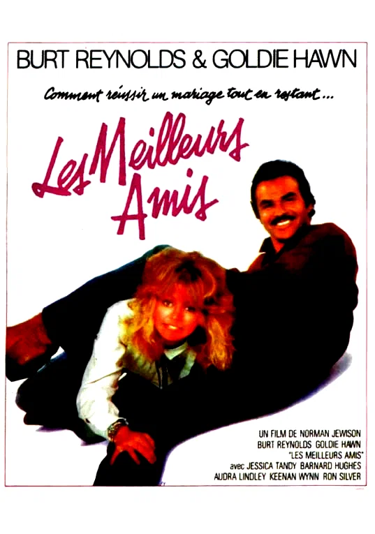 Affiche du film : Les meilleurs amis