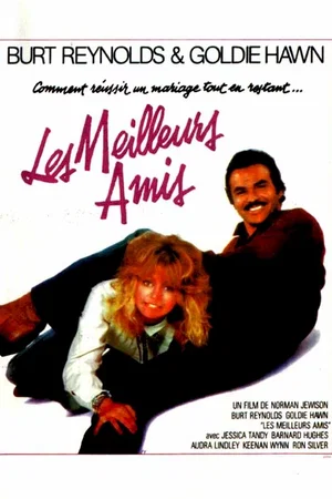 Affiche du film : Les meilleurs amis