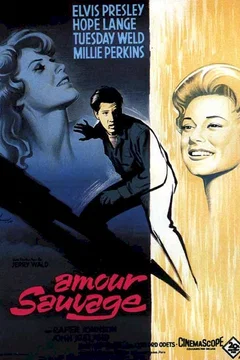 Affiche du film Amour sauvage