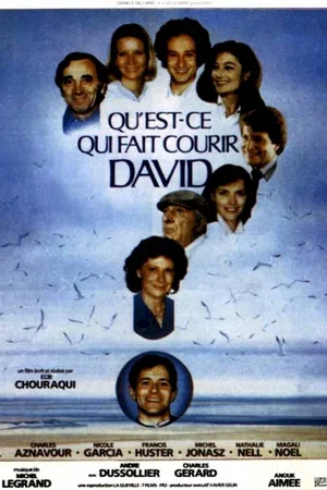 Affiche du film : Qu'est-ce qui fait courir David