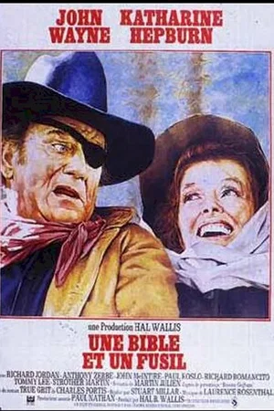 Affiche du film : Une bible et un fusil