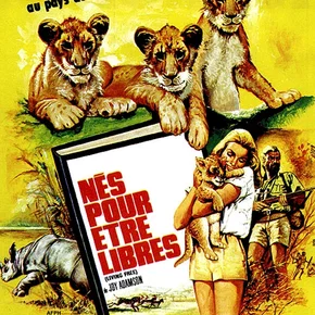 Photo du film : Nes pour etre libres