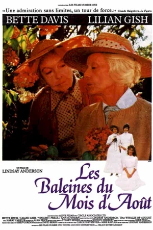 Affiche du film : Les baleines du mois d'aout